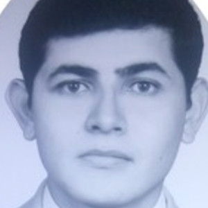 Luis - Profesor de matemáticas - Chihuahua