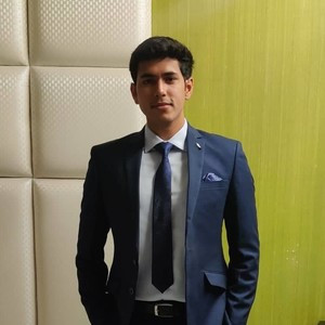 Akash - Math tutor - Shimla