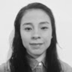 Mariana - Profesor de matemáticas - Querétaro