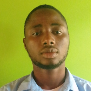 Yusuf - English literature tutor - Bauchi