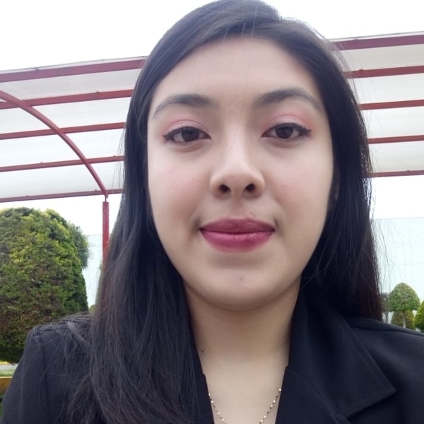 Iris - profesor de derecho penal - Metepec