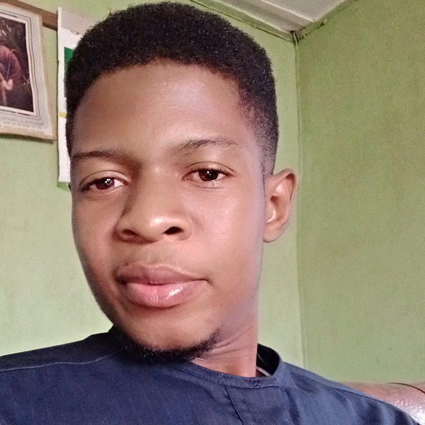 Harrison - Web Development Tutor - Nyanya