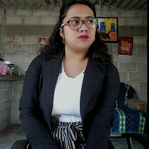 Priscila - Profesor de apoyo escolar - San Juan Teotihuacan de Arista