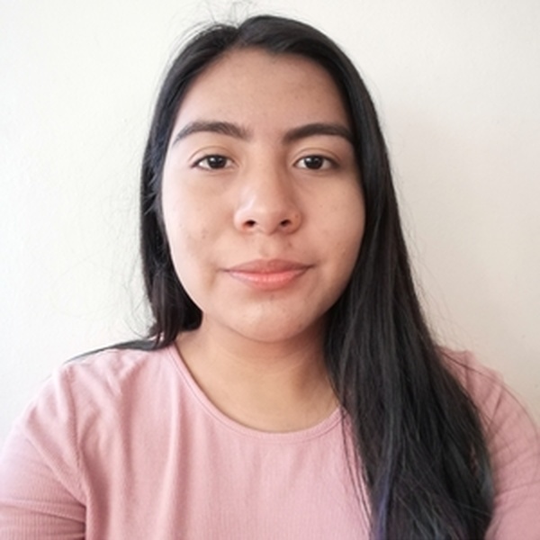 Sandra Nayely - Profesor de apoyo escolar - Santa cruz Xoxocotlán