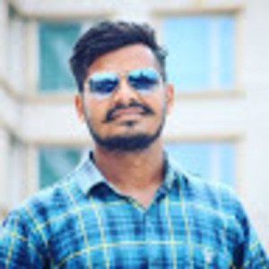 Raman - Maths tutor - 