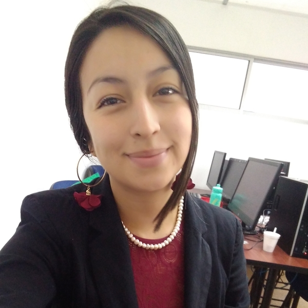 Lina - Prof apoyo escolar - Bogotá