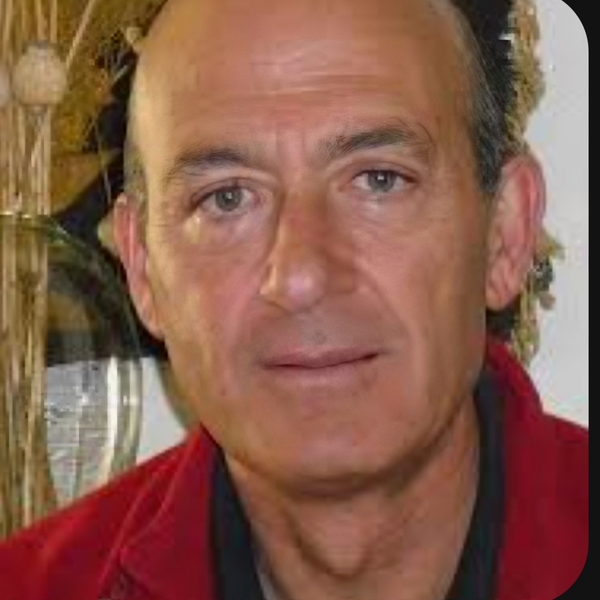 Carlos - Profe de inglés - Majadahonda