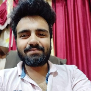 Raj - Computer programming tutor - Delhi