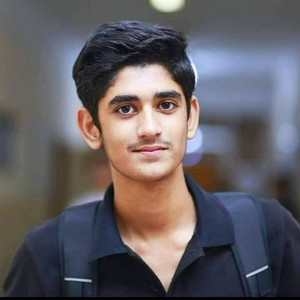 Ali - Maths tutor - Wollongong