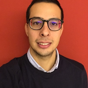 Mario - Insegnante di ripetizioni - Milano