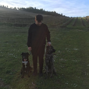 David - Profesor de ingeniería - Logroño