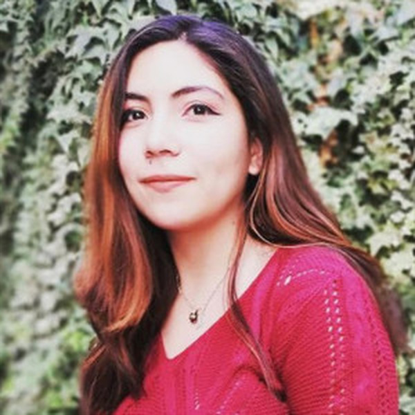 Darlin - Profesor de español y literatura - Cerro Navia