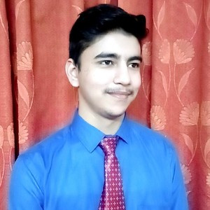ABHISHEK - Computer programming tutor - Delhi