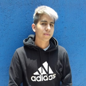 David - Profesor de matemáticas - CDMX