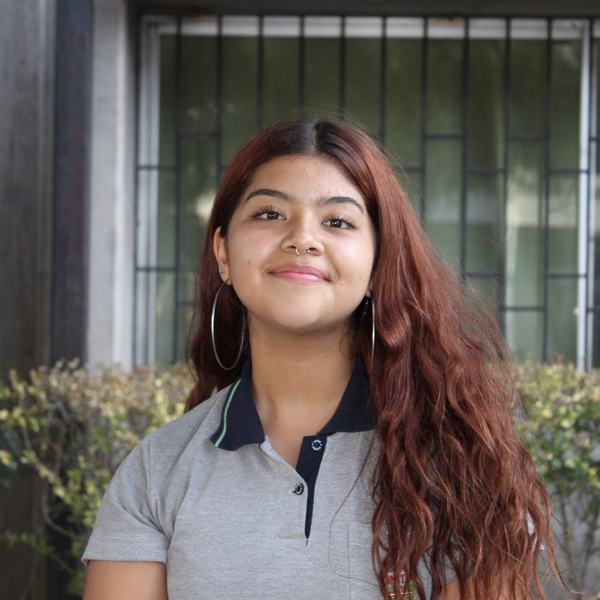 Fernanda - Prof matemática - Santiago
