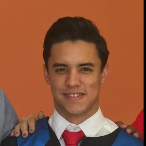 Luis - profesor de matemáticas - Mazatlán