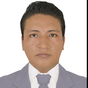Marco Antonio - Profe de apoyo escolar - Campeche