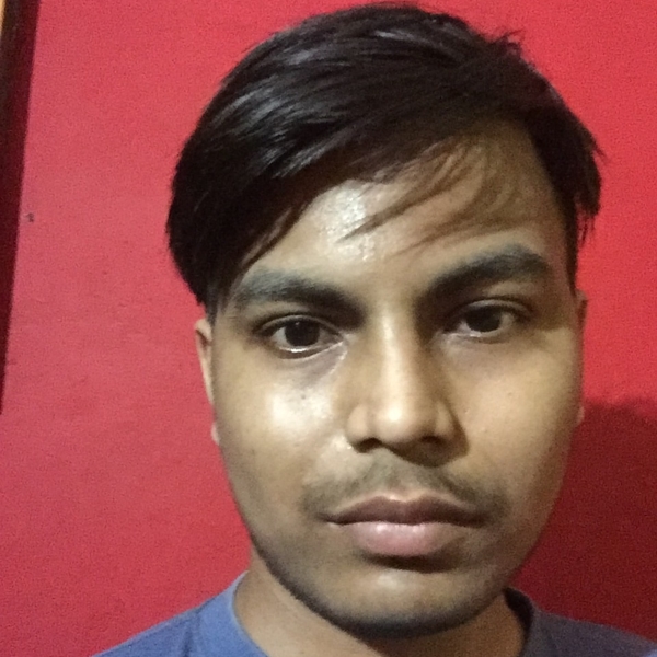 Ankit - Computer programming teacher - Renukoot