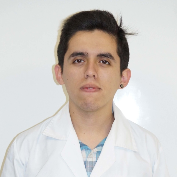 SERGIO - Profesor de inglés - Talca