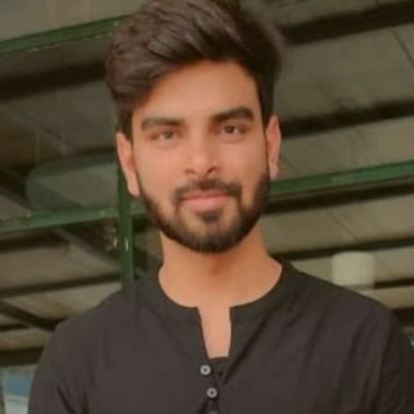 SRIDHAR - Maths tutor - 