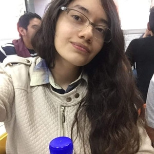 Eme - Profesor de matemática - Oaxaca de Juárez