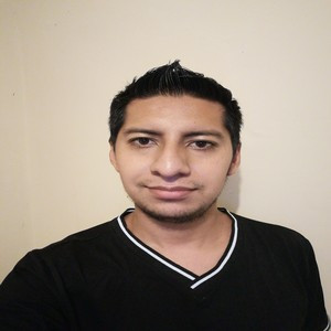 Hector - Profe de programación - Celaya