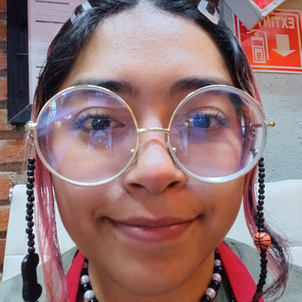 Arely - profesor de español para extranjeros - Ciudad de México