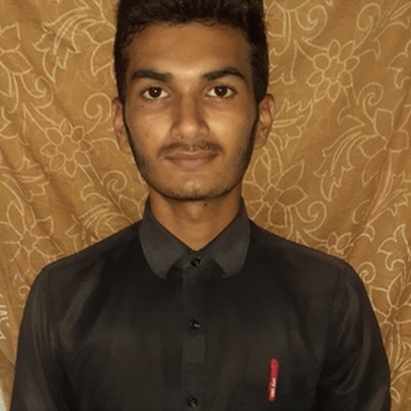 Avnish - Maths tutor - 