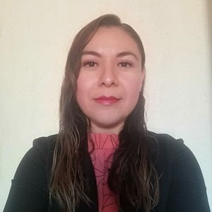 Era - profesor de lógica matemática - Morelia