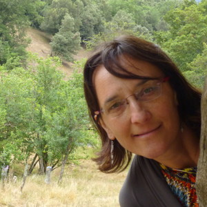 Helene - Prof de compréhension écrite - anglais - Chaudfontaine