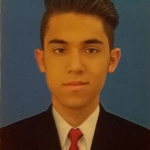 Camilo - Profe de matemáticas - Bogotá