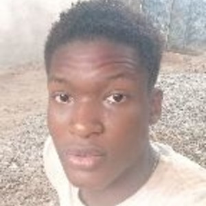 Erik - Drawing tutor - Gberigbe