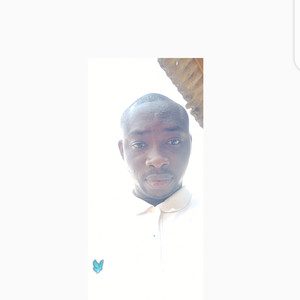 Oluwafemi - Accounting tutor - Ikorodu