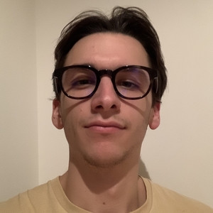 Davide - Insegnante di ripetizioni - Udine