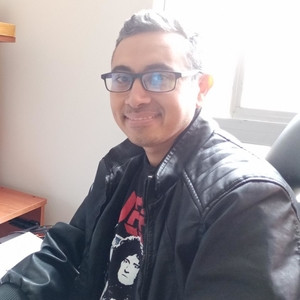 Alejandro - profesor de estadística - Bogotá