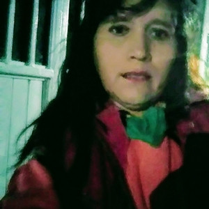 Gloria - profesor de informática básica - San Juan del Río