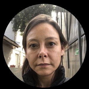 Patricia - Profesor de lenguaje y comunicación - Villarrica