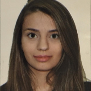 Isadora - Prof de direito constitucional - 