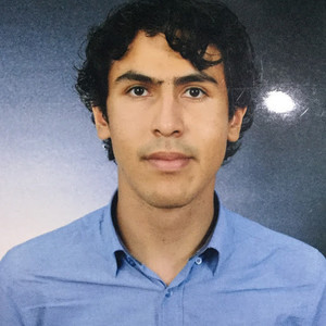Guillermo - profesor de matemáticas - San Francisco Coacalco