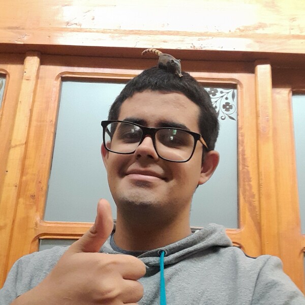 Juan - Profe de programación - General Alvear