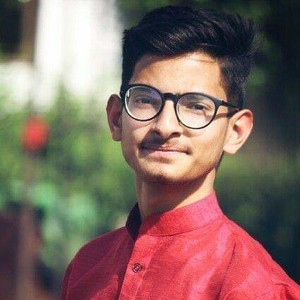 Kush Saini - Computer programming tutor - Roorkee