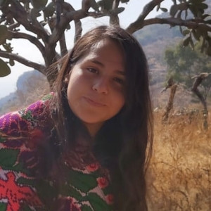 Isara - profesor de inglés - Ciudad de México