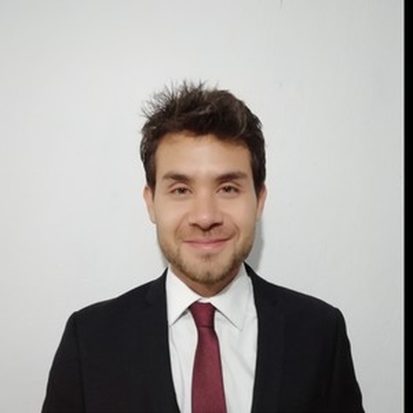 NESTOR ALBERTO - Profesor de matemática - Guadalajara