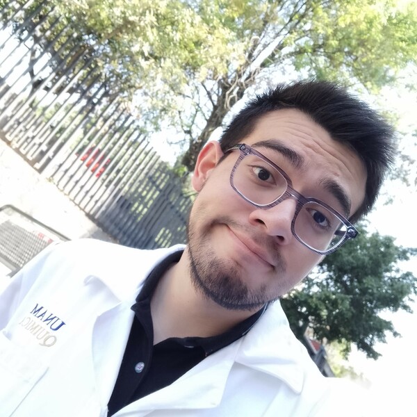 Luis - Profesor de física - CDMX