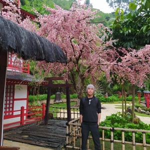Hendra - Guru ilmu komputer dasar - 