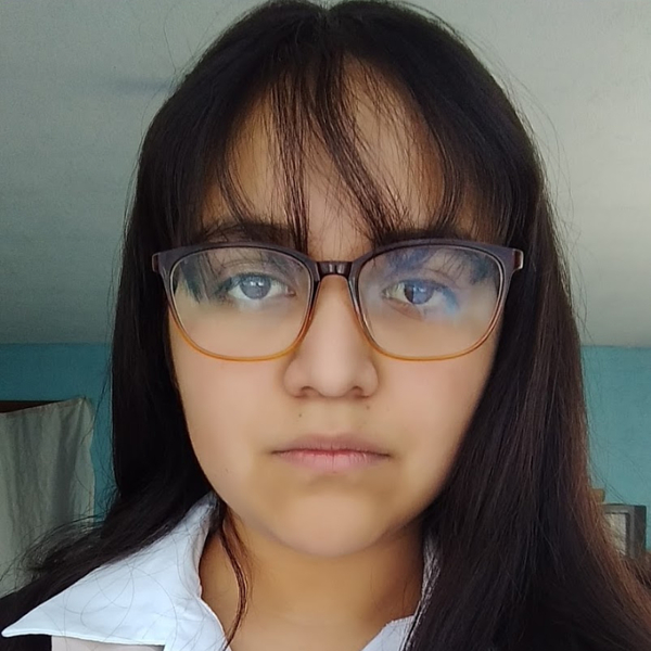 Andrea - profesor de estadística - Progreso