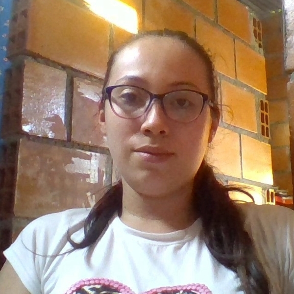DIANA PAOLA - Profesor de apoyo escolar - Ibagué