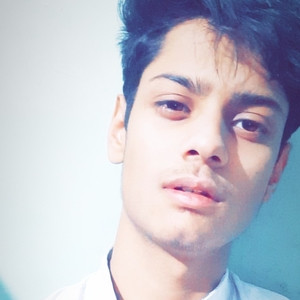 Ansh - Computer basics teacher - Gwalior