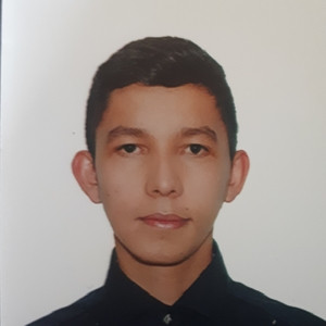 Felipe - profesor de programación - Bogotá