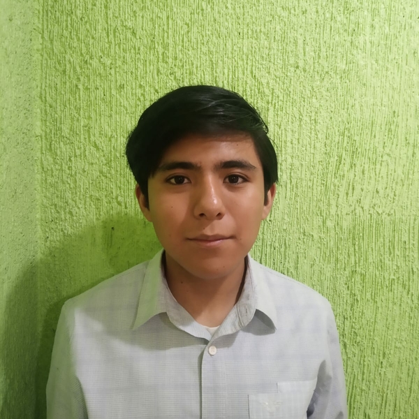 Ulises - profesor de matemáticas - Ecatepec de Morelos